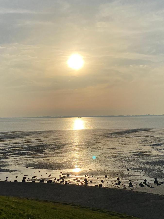 Bungalow Scheldezicht In Zeeland Dicht Bij Zee Scherpenisse Екстериор снимка