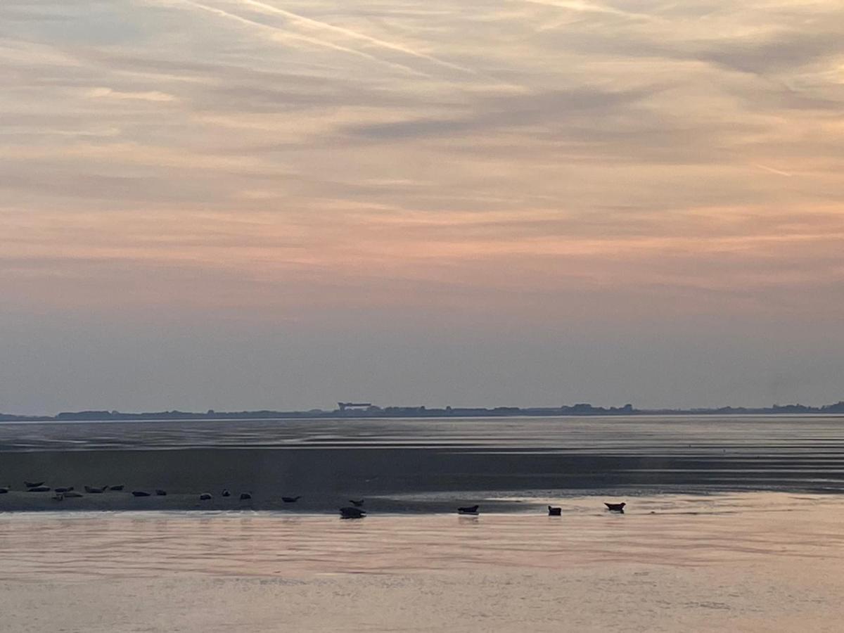 Bungalow Scheldezicht In Zeeland Dicht Bij Zee Scherpenisse Екстериор снимка