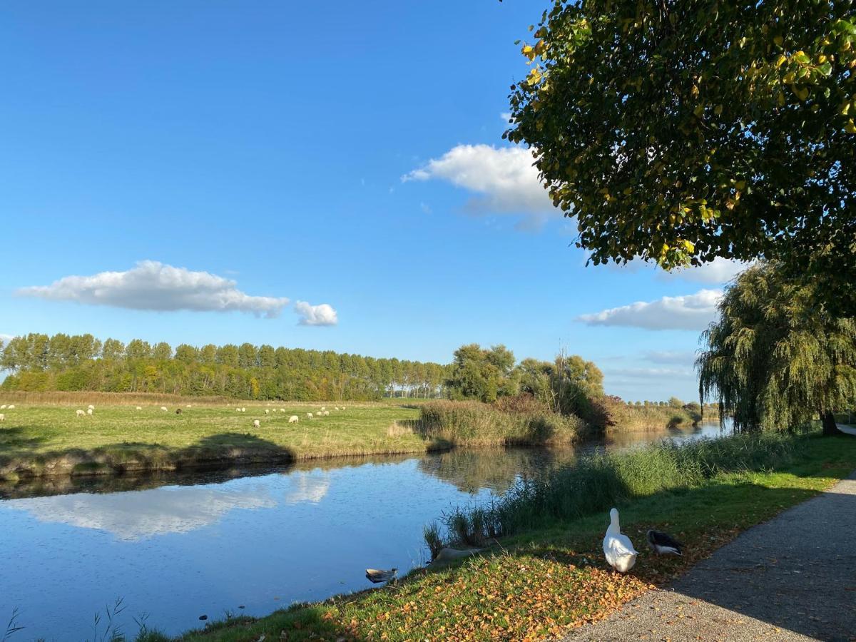Bungalow Scheldezicht In Zeeland Dicht Bij Zee Scherpenisse Екстериор снимка