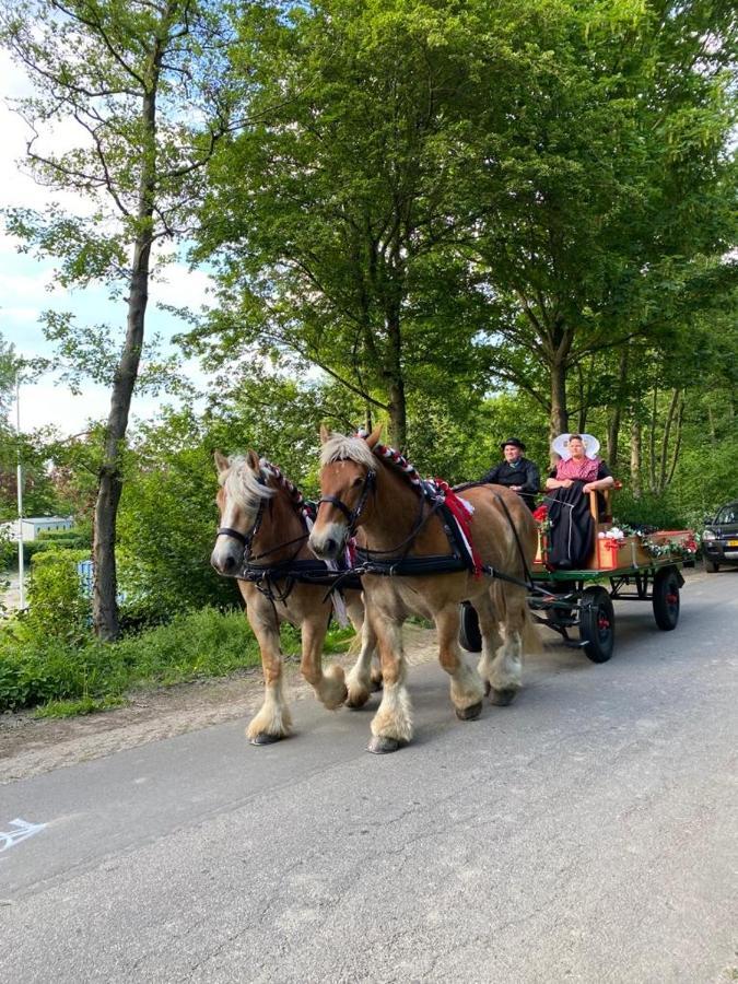 Bungalow Scheldezicht In Zeeland Dicht Bij Zee Scherpenisse Екстериор снимка